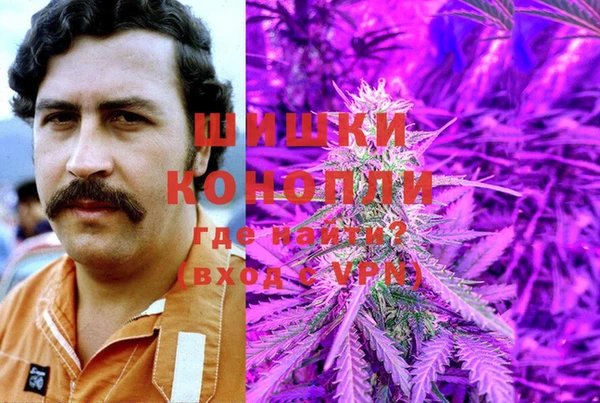 ПСИЛОЦИБИНОВЫЕ ГРИБЫ Карпинск