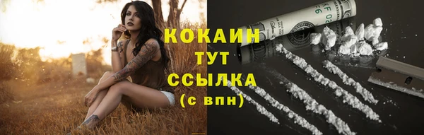 ПСИЛОЦИБИНОВЫЕ ГРИБЫ Карпинск