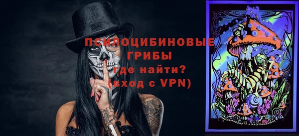 бошки Касимов