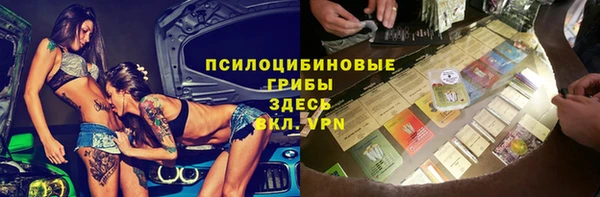 гидра Кинешма