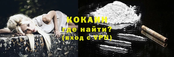 ПСИЛОЦИБИНОВЫЕ ГРИБЫ Карпинск