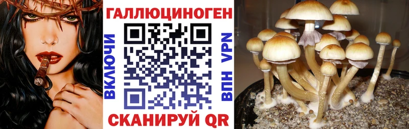 Псилоцибиновые грибы мицелий  Купить закладки  Видное 